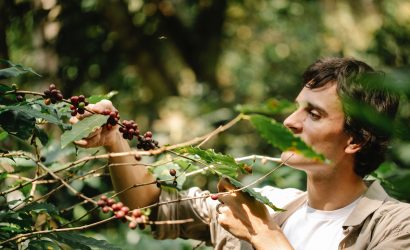 pexels-michael-burrows-7125453