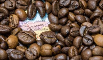 honduras kahvesi