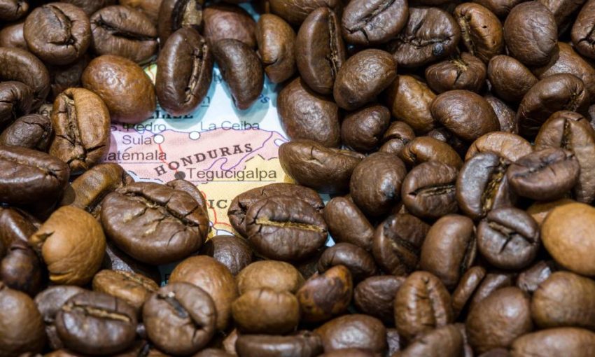 Honduras Kahvesinin Özellikleri