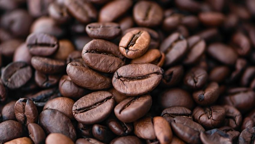 Hayvan Dışkısıyla Yapılan Kahve: Kopi Luwak Kahvesi Nedir?